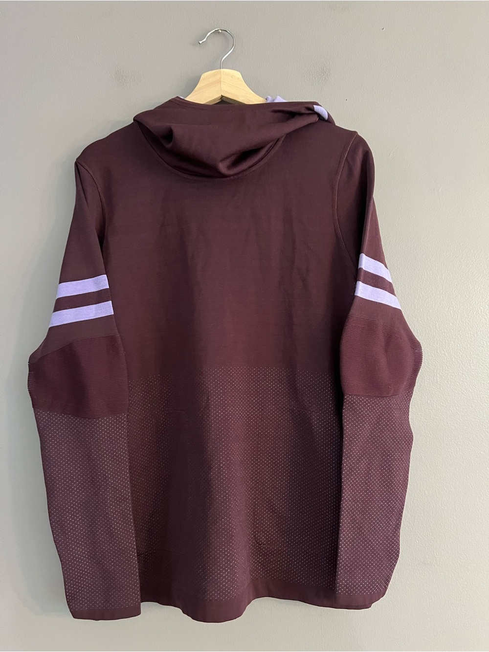 Smartwool Women's Intraknit Merino Tech Pullover Hoodie XL Eggplant Performance